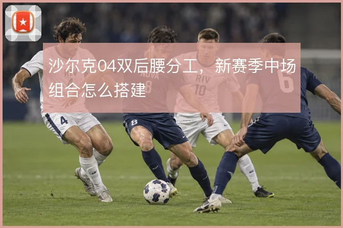 沙尔克04双后腰分工，新赛季中场组合怎么搭建