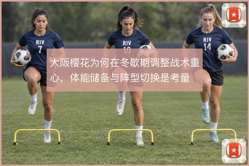 大阪樱花为何在冬歇期调整战术重心，体能储备与阵型切换是考量