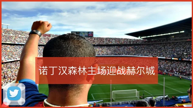 诺丁汉森林主场迎战赫尔城