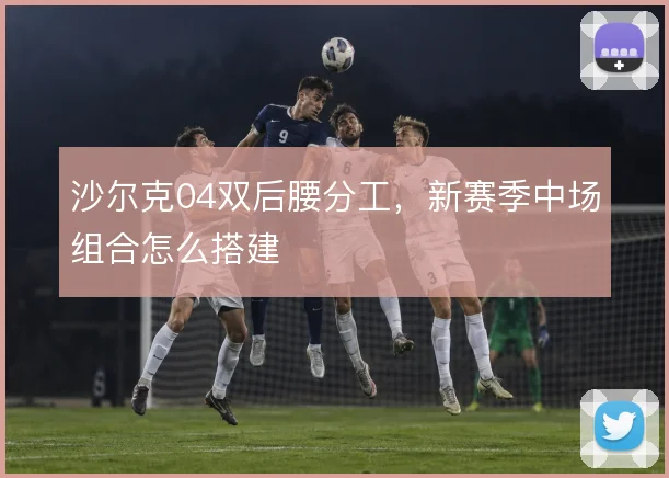 沙尔克04双后腰分工，新赛季中场组合怎么搭建